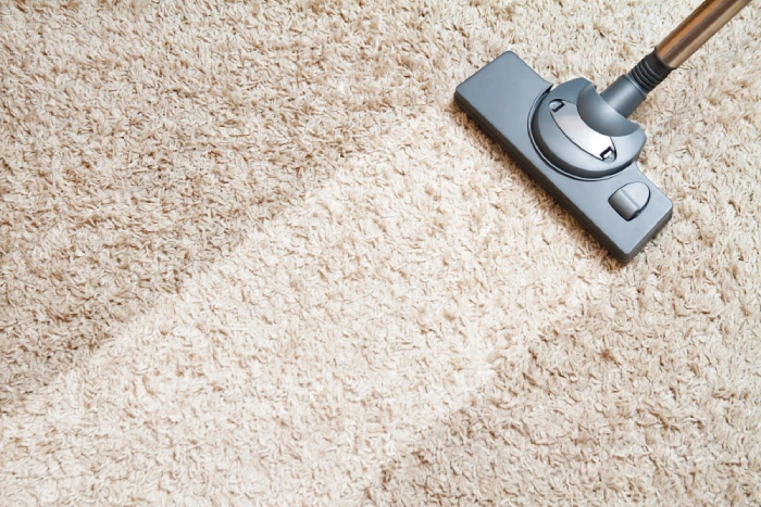 Reliable carpet steam cleaning services